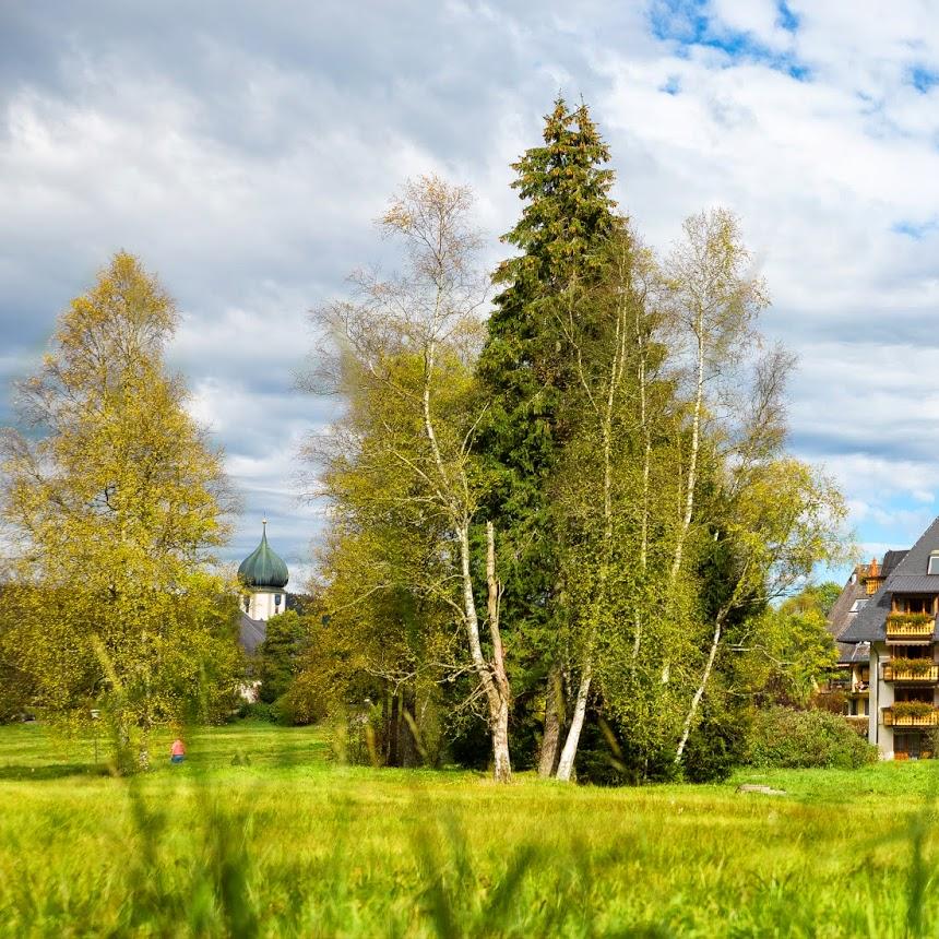 Restaurant "Hotel Thomahof" in Hinterzarten