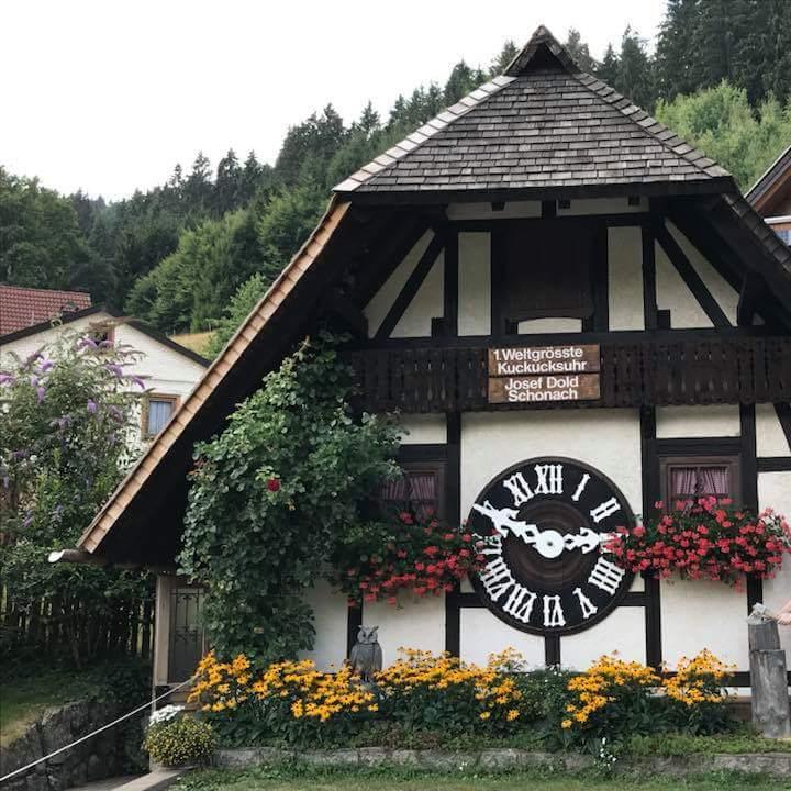 Restaurant "Hotel an der Sonne" in  Schwarzwald