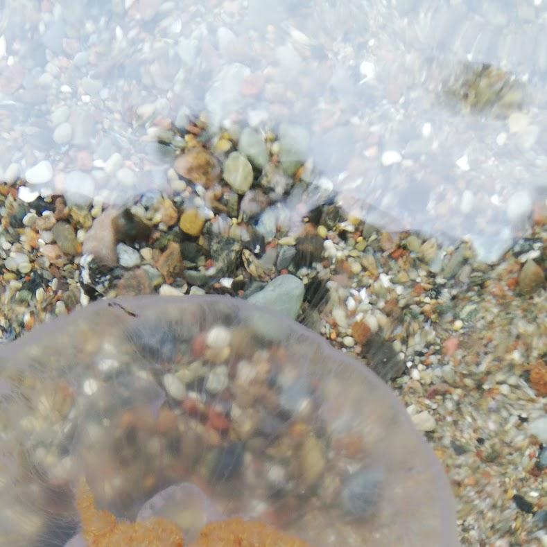 Restaurant "Tipasa Restaurant" in  Strand