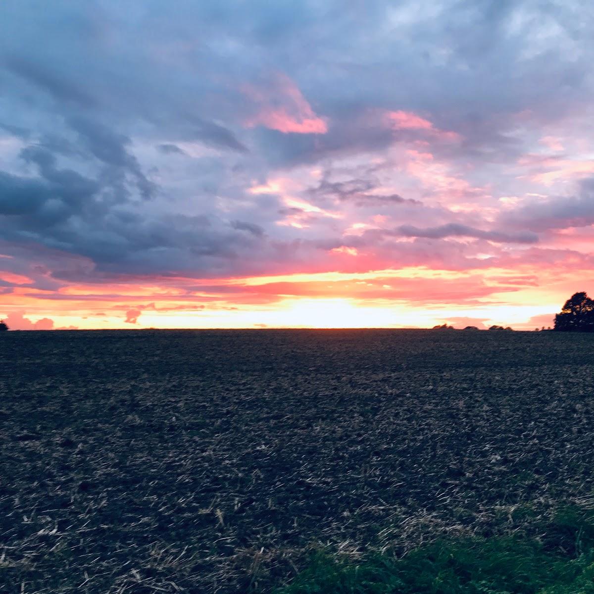 Restaurant "Gartencafe" in  Stakendorf