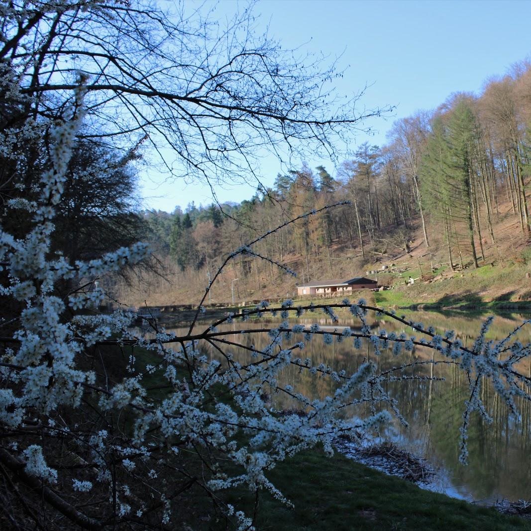 Restaurant "Weingut Peter Lauer" in  Ayl