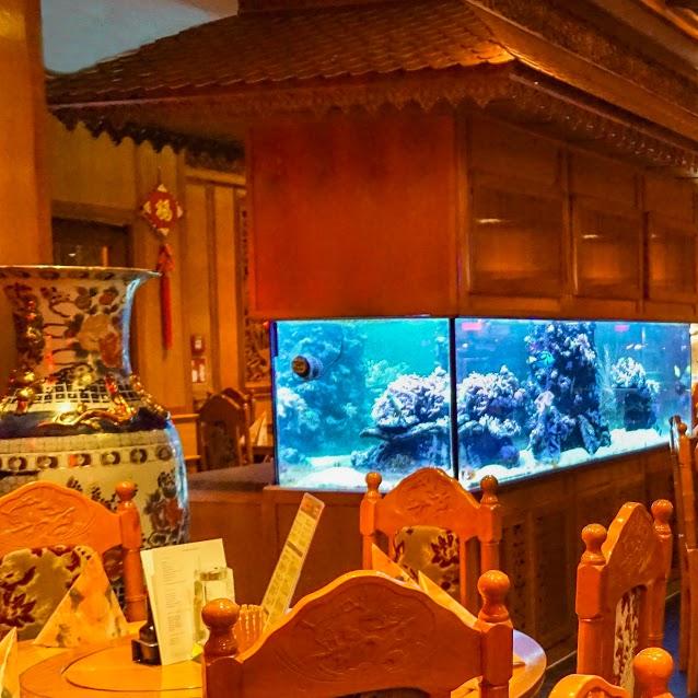 Restaurant "China-Restaurant Palace" in Haiger