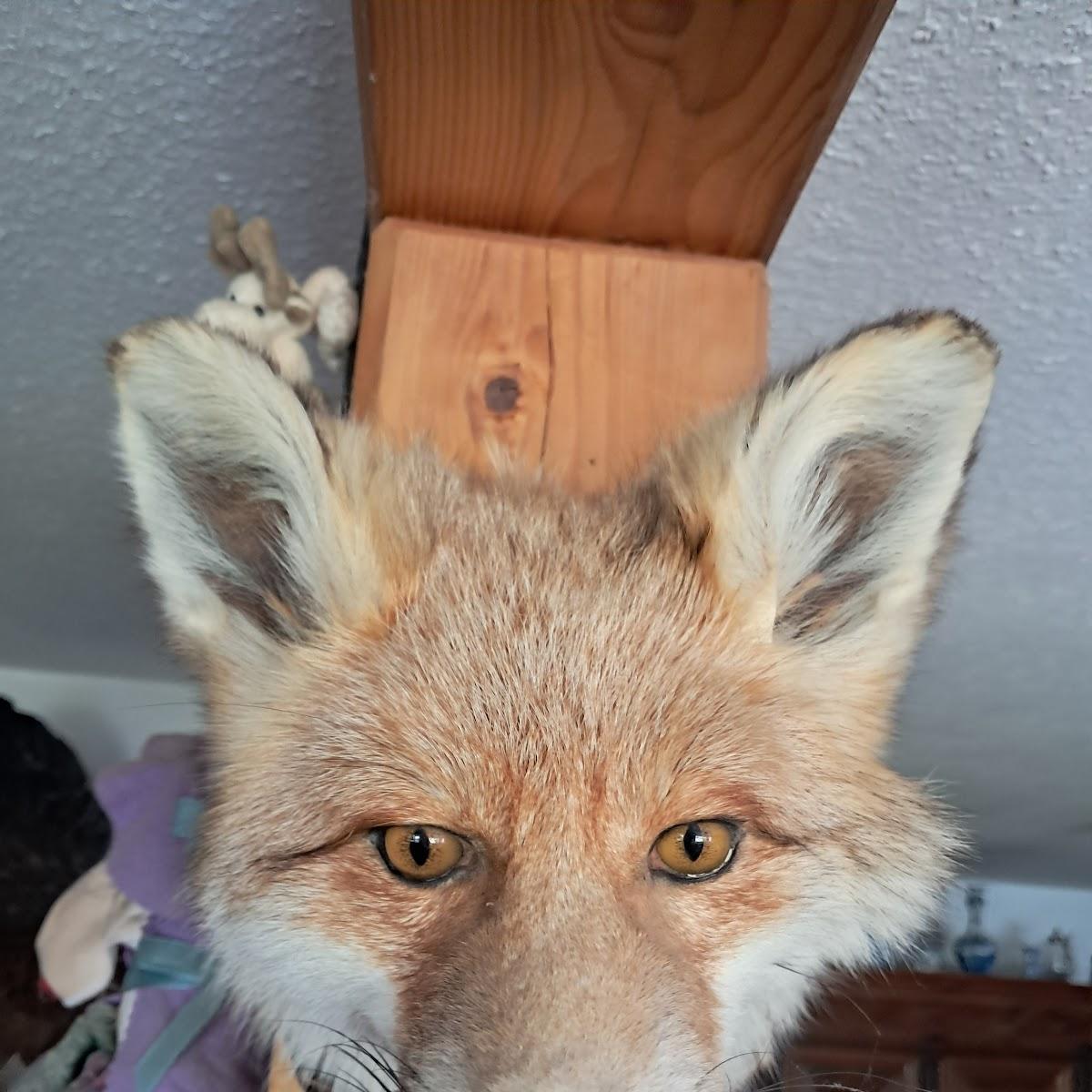 Restaurant "Zur Linde" in Elbe-Parey