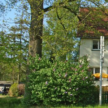 Restaurant "Gaststätte Forsthaus Markgrafenheide" in Rostock