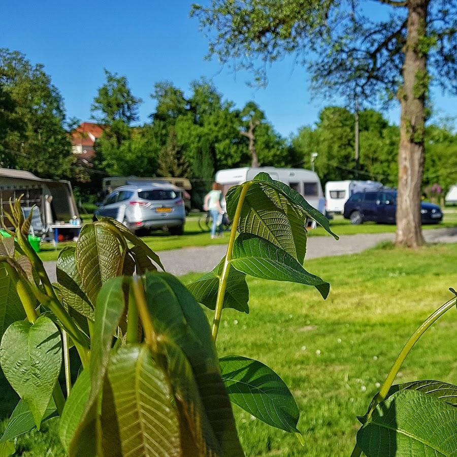 Restaurant "Fortuna Camping am Neckar" in  Binau