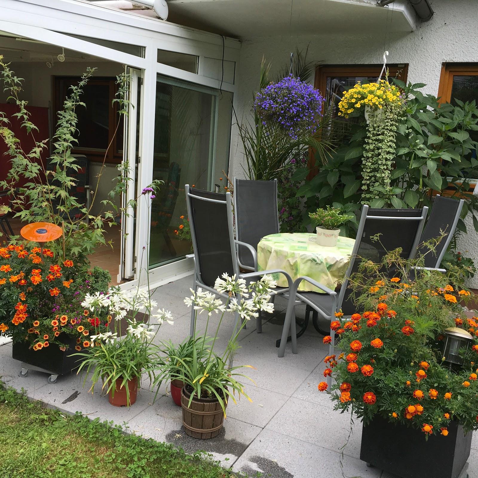 Restaurant "Landhaus Zum Langenstein Hotel Restaurant" in  Riveris