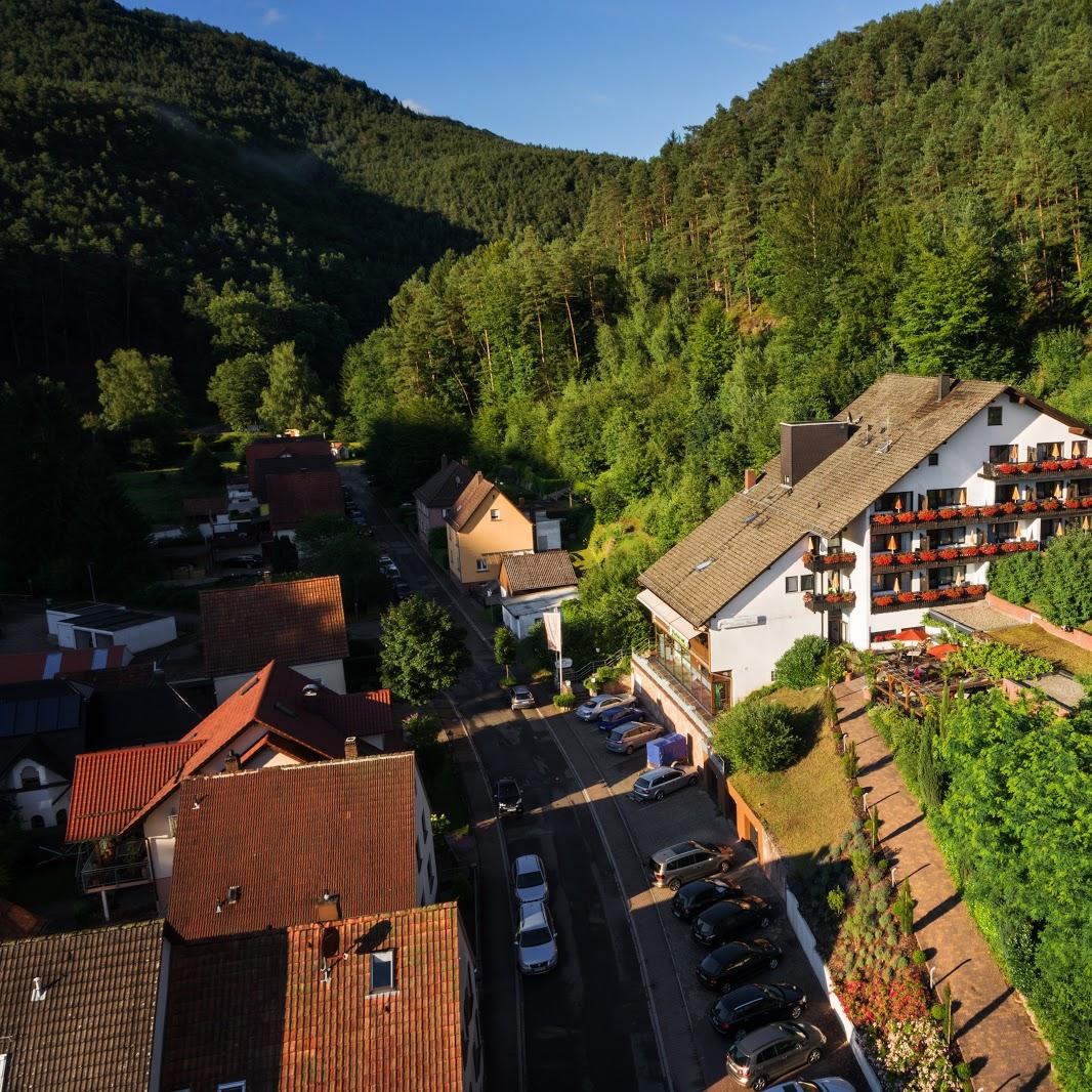 Restaurant "Hotel-Restaurant  Die Kleine Blume  GmbH" in Erfweiler