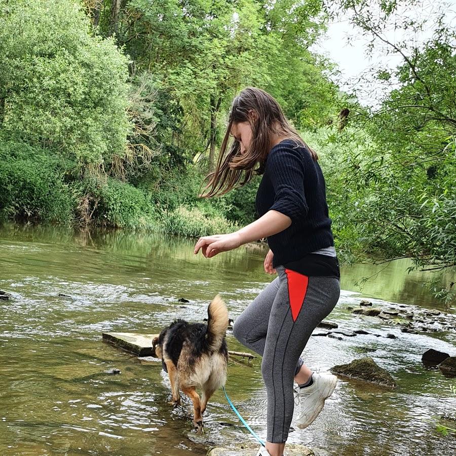 Restaurant "Landgasthof zur Krone" in  Krautheim