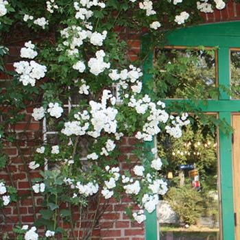 Restaurant "Spielplatz" in  Niendorf-Stecknitz