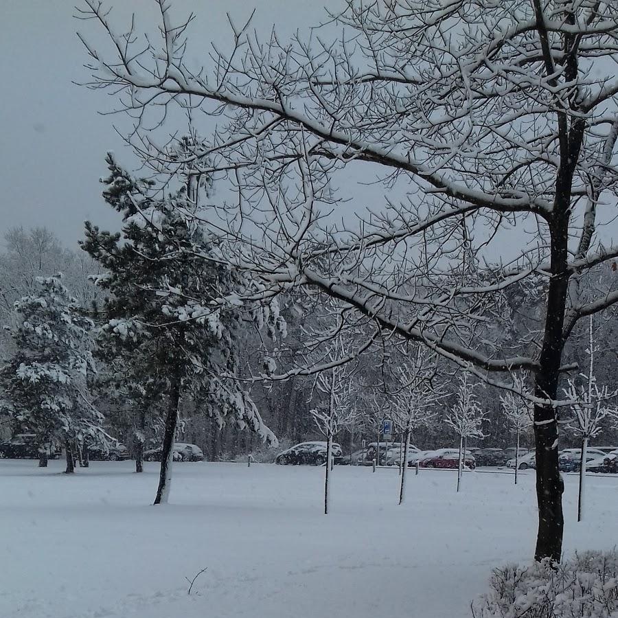 Restaurant "Ristorante Pizzeria Ratskeller" in  Höhen