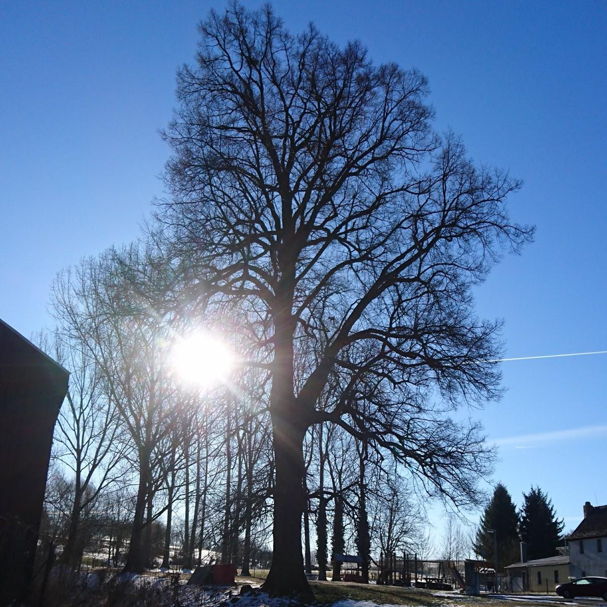 Restaurant "Nottertal" in  Körner