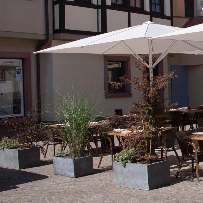 Restaurant "Zum Vogel Strauß" in  Wertheim