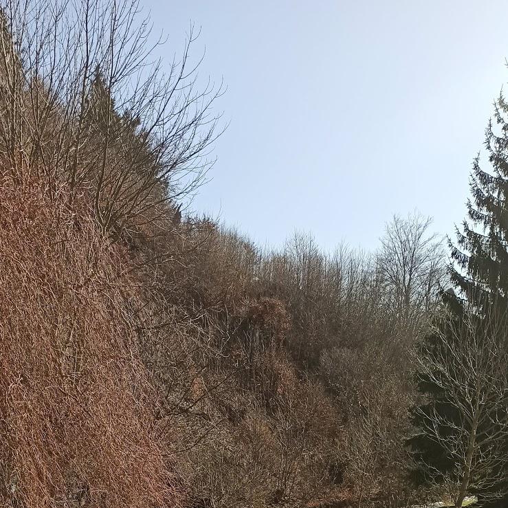 Restaurant "Gaststätte Waldschlößchen" in  Steinbach-Hallenberg