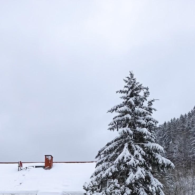Restaurant "Wirtshaus Zum Pfaffen" in  Steinbach-Hallenberg