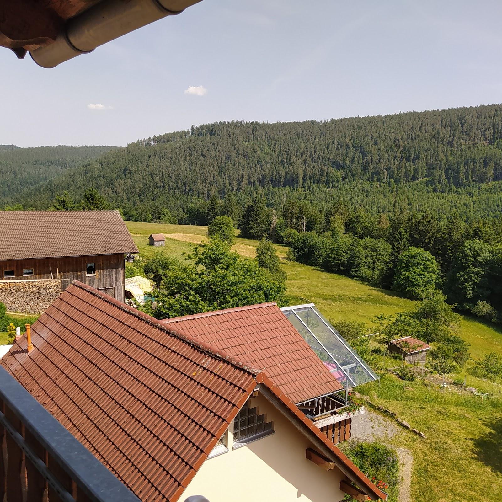 Restaurant "Hotel Eintracht" in  Wildbad