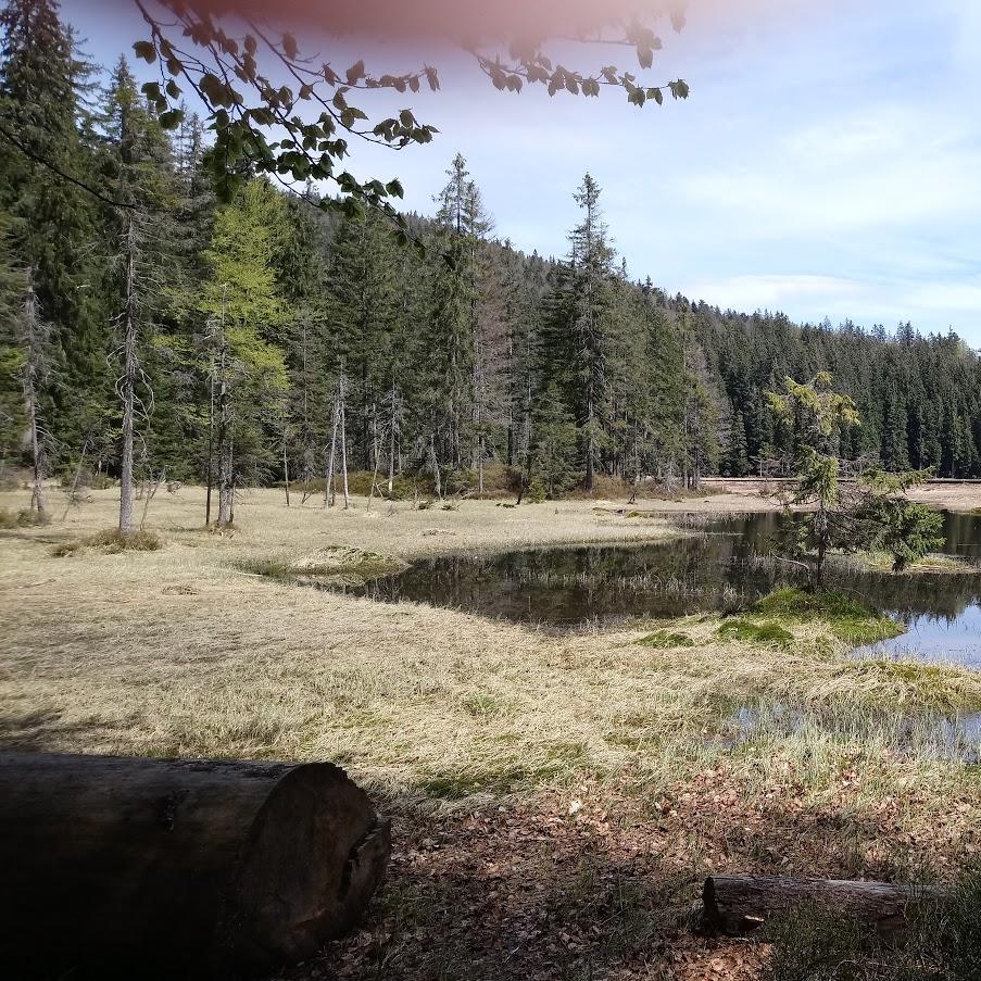 Restaurant "Gasthaus Baier Edbauer" in  Hunderdorf