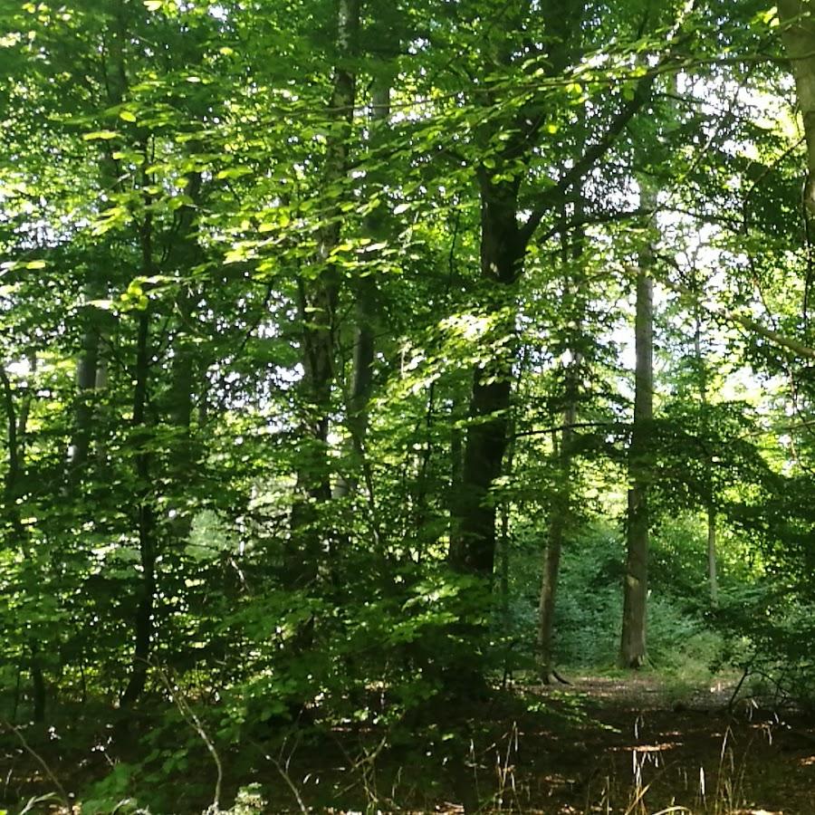 Restaurant "Ansar Bistro" in  Helmstedt