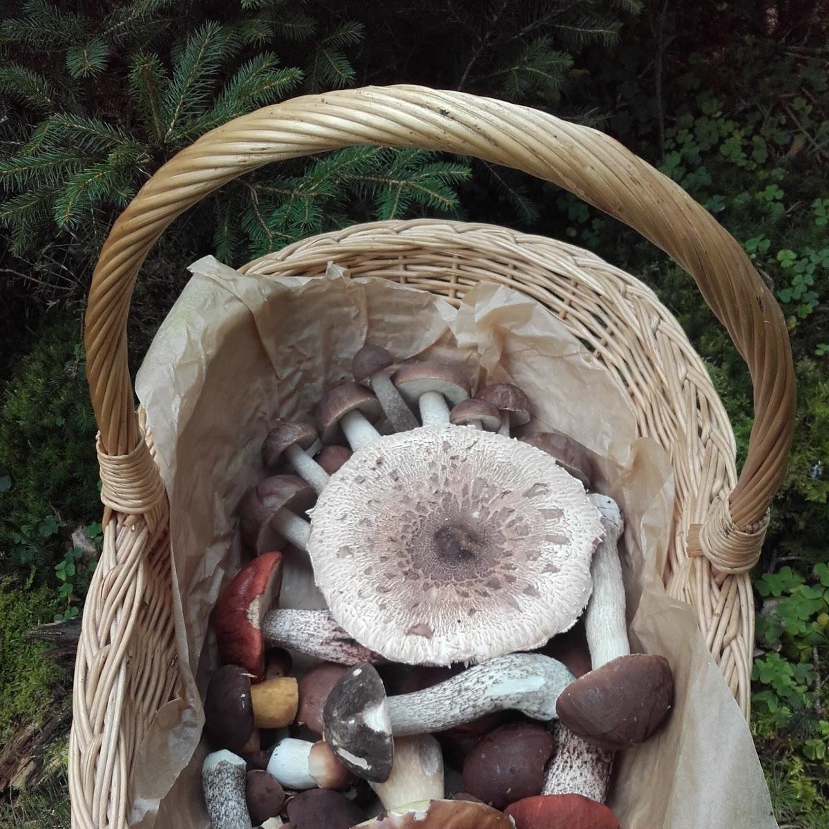 Restaurant "Gasthaus Hilz" in  Arnstorf