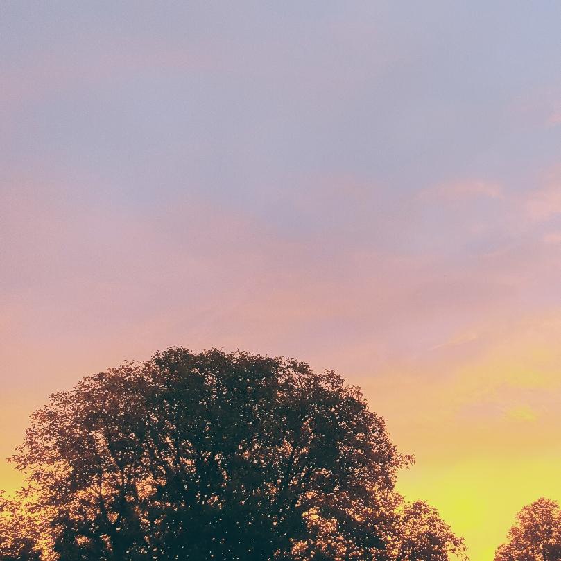 Restaurant "Hubertushof Fährbrück" in  Würzburg