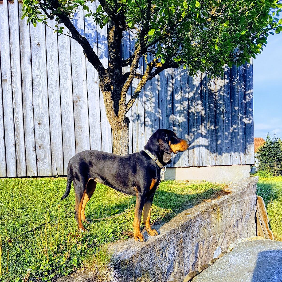 Restaurant "Ranch Döner & Bar" in  Altmannstein