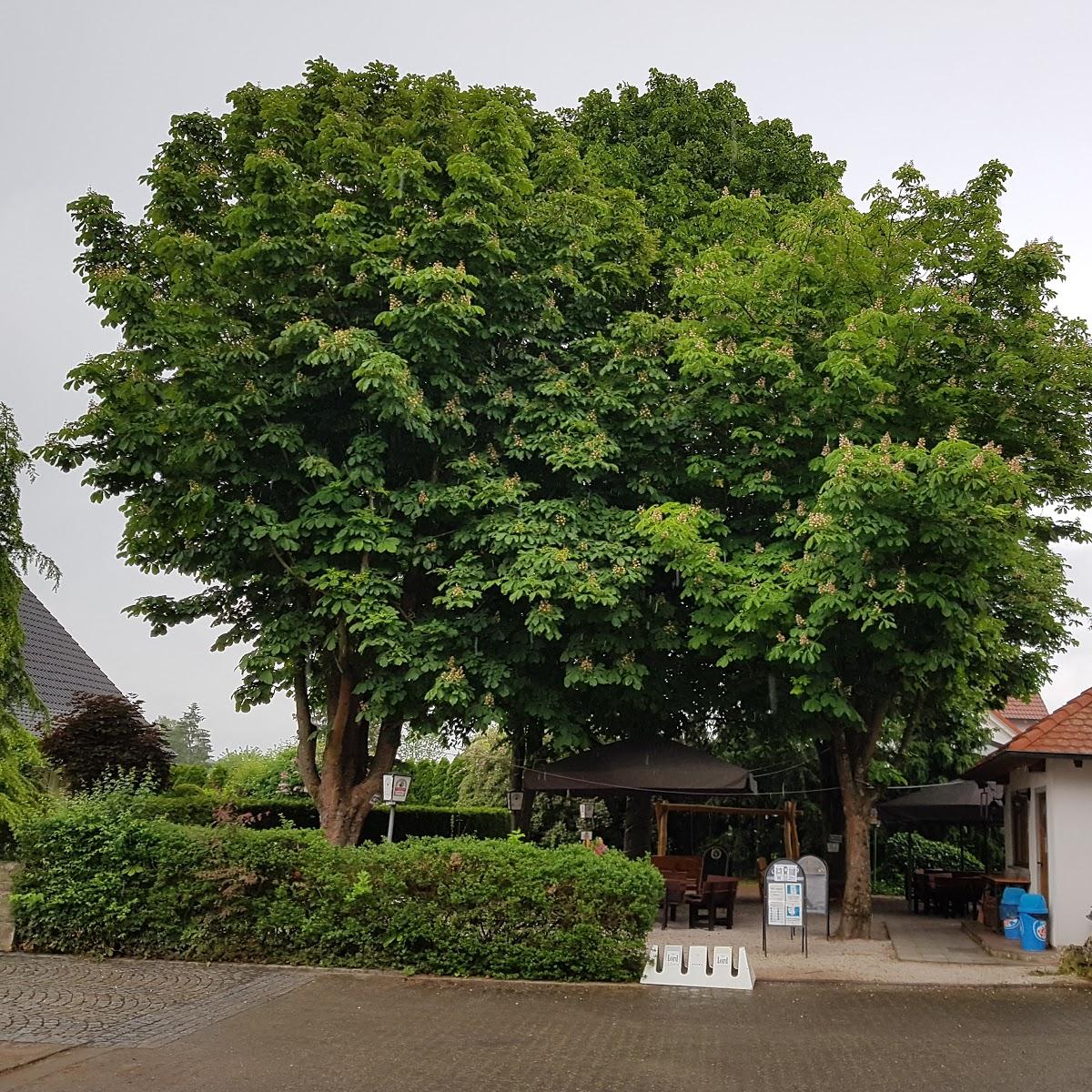 Restaurant "Gasthof Frank" in  Heroldsbach