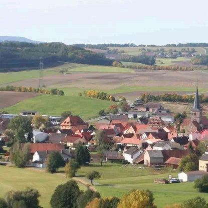 Restaurant "Brauerei-Gasthof Münich-Fichtel -  Schwarzer Adler  " in Oberscheinfeld