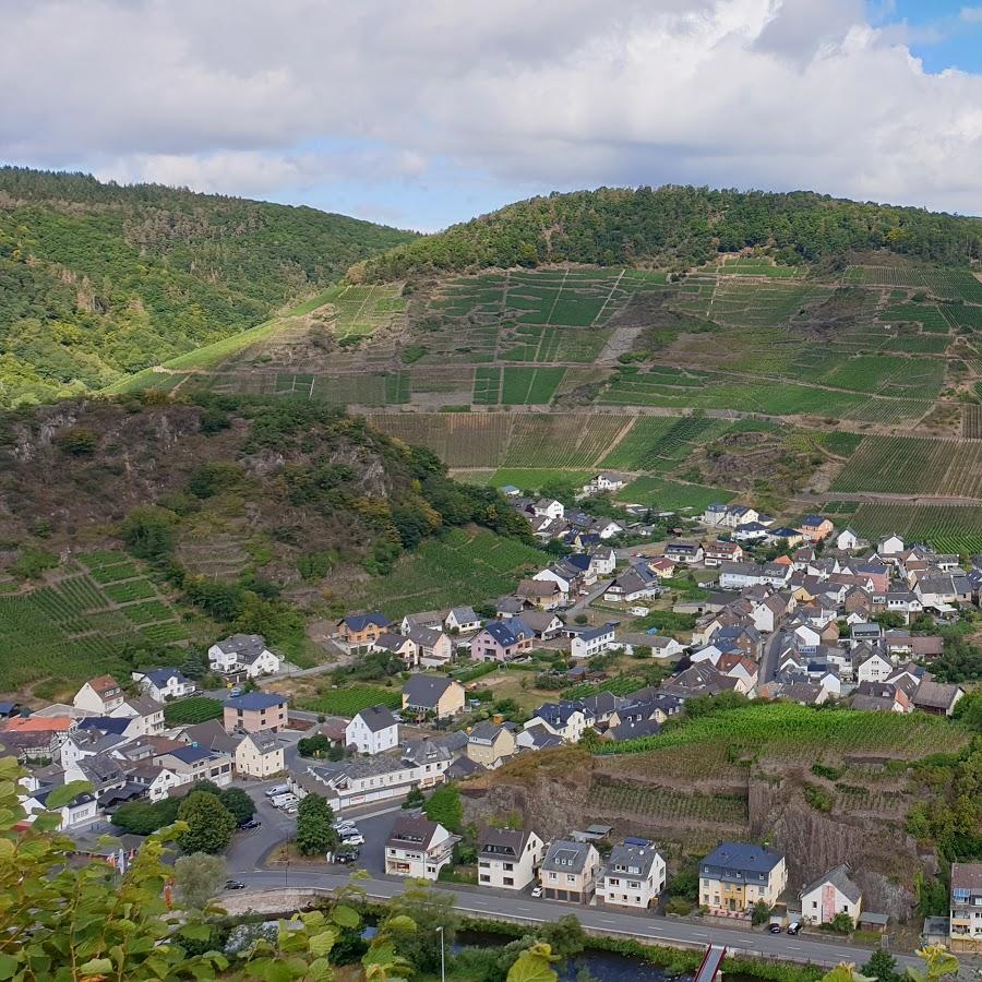 Restaurant "Zum Rebstock" in  Dernau