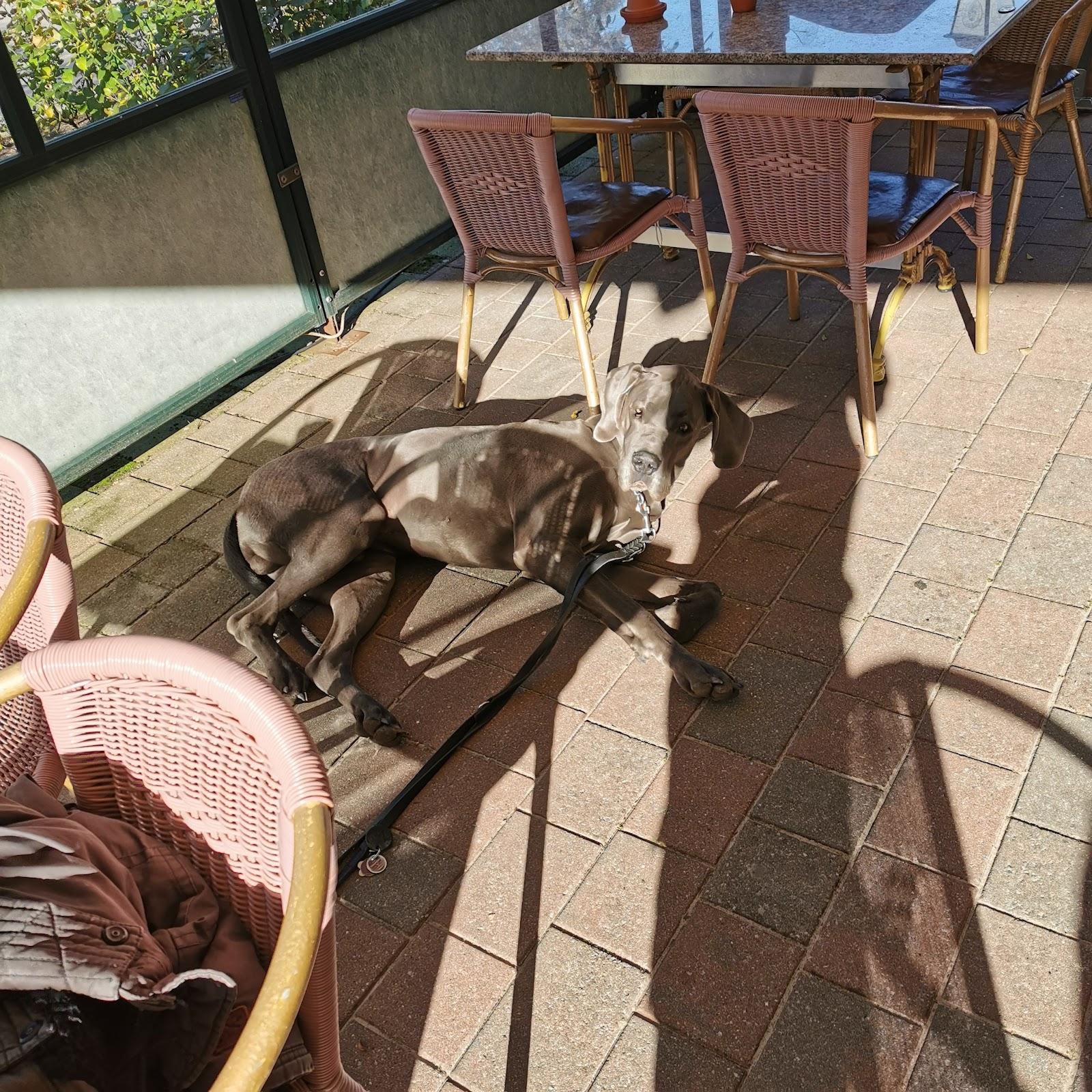 Restaurant "La Residenza" in Karlshagen