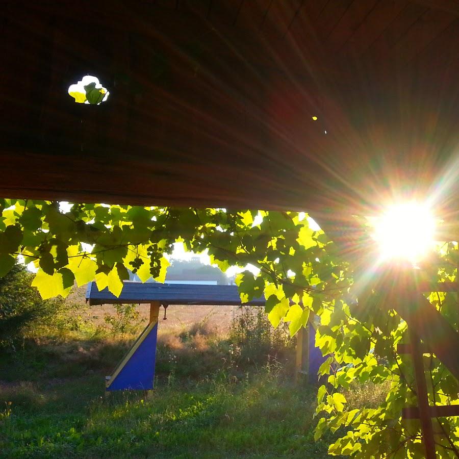 Restaurant "Pizza-Eis-Cafe Alex" in  Fürstenzell