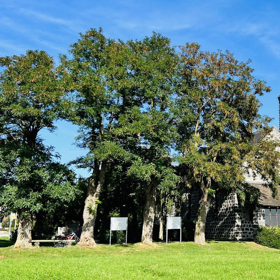 Restaurant "Gasthof Pension Alte Schule" in Fürstenzell