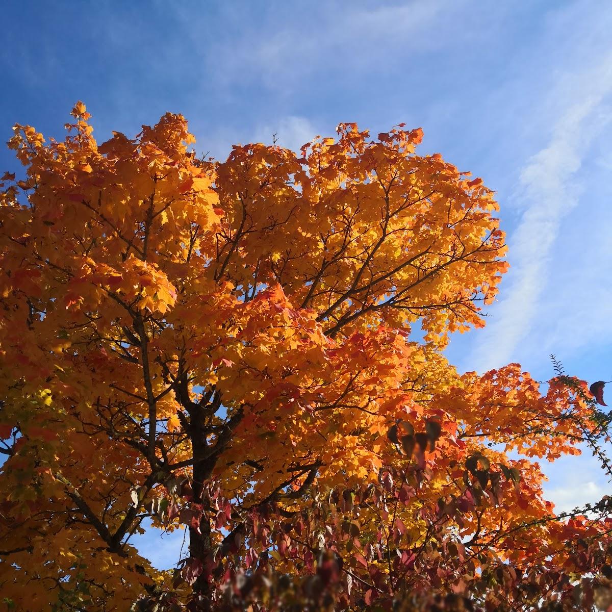 Restaurant "Sportverein 1926" in Weidenstetten