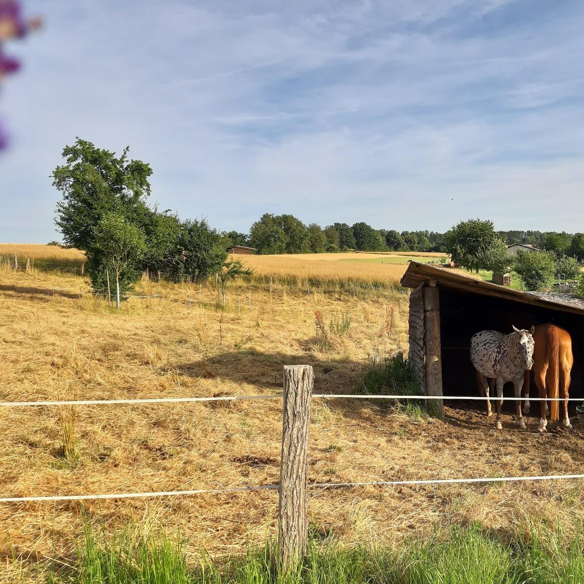 Restaurant "Gasthaus Zum Taunus" in  Idstein