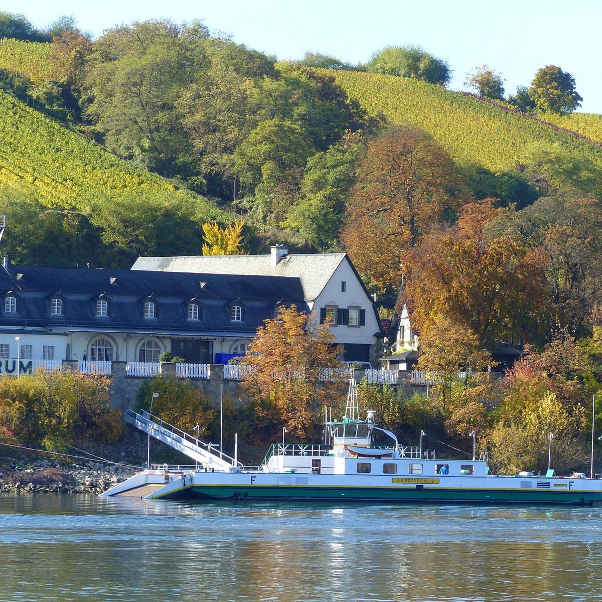 Restaurant "Vinothek der er Weingenossenschaft" in  Nierstein