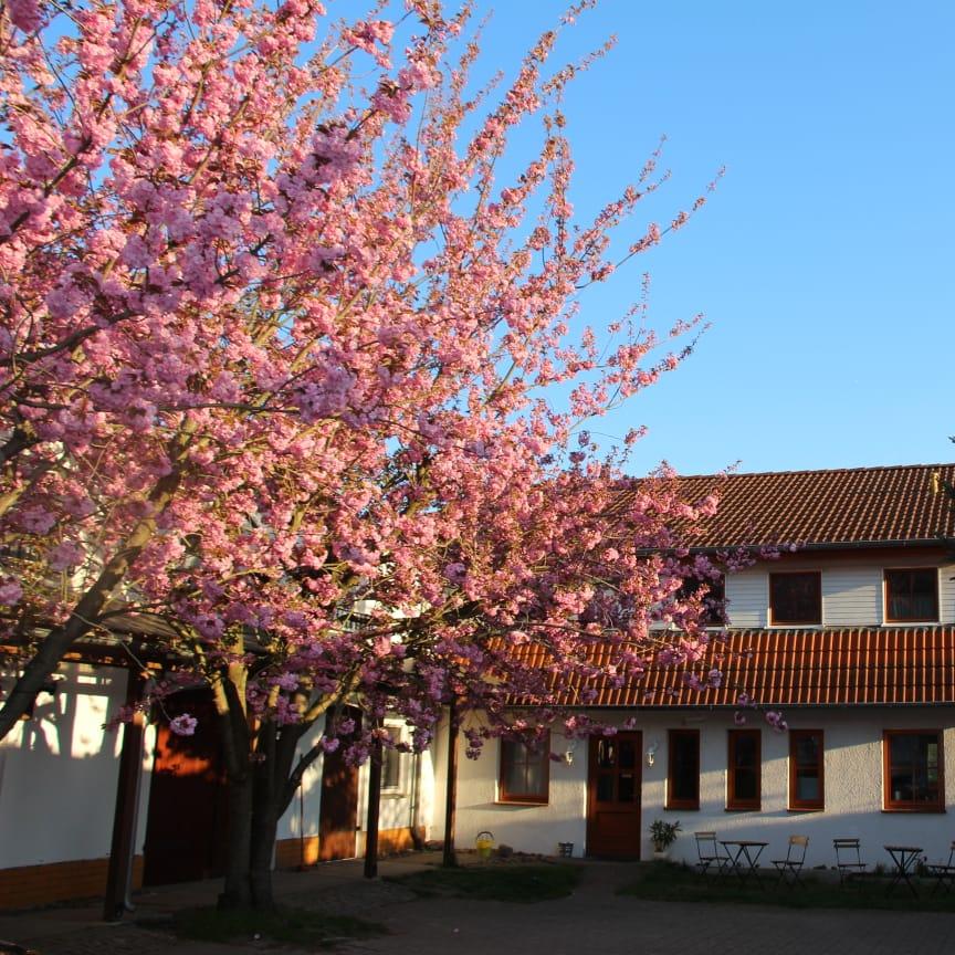 Restaurant "Meine kleine Auszeit" in  Eldetal