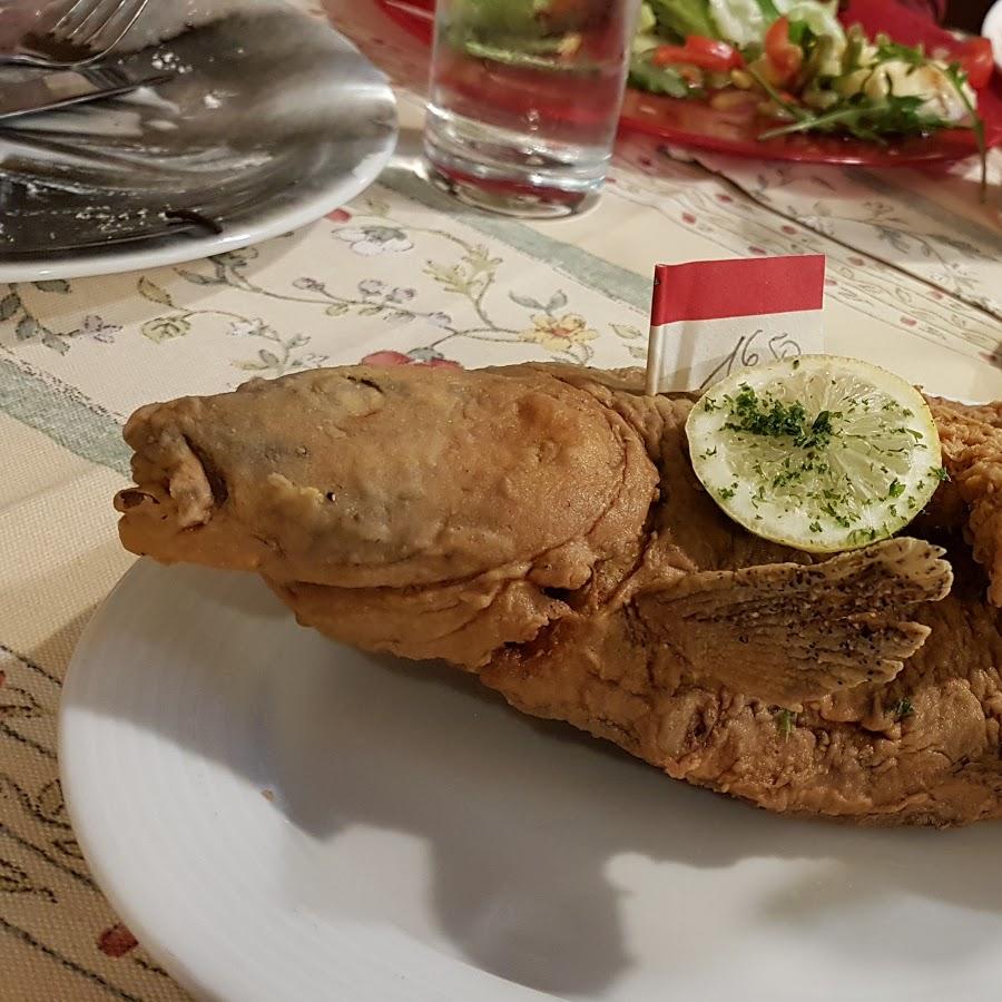 Restaurant "Hallerschlößchen" in  Pegnitz