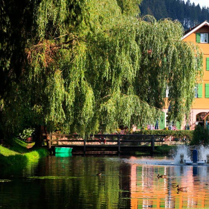 Restaurant "Zur Alten Mühle" in Neuenbürg