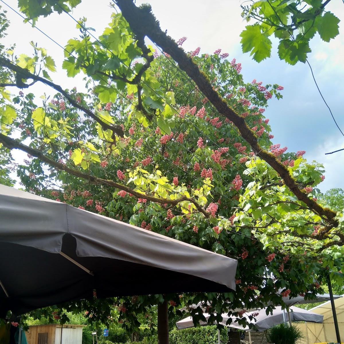 Restaurant "Obsthof Möcking" in Uhldingen-Mühlhofen