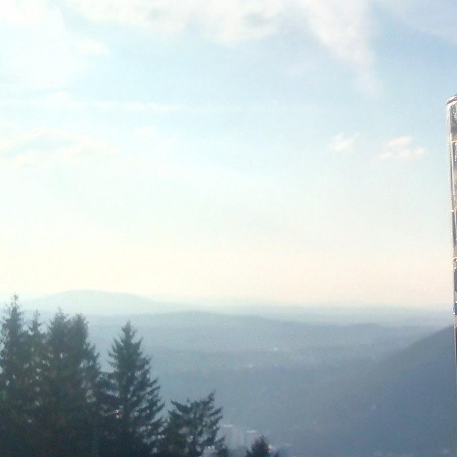 Restaurant "Döllberghütte" in  Suhl