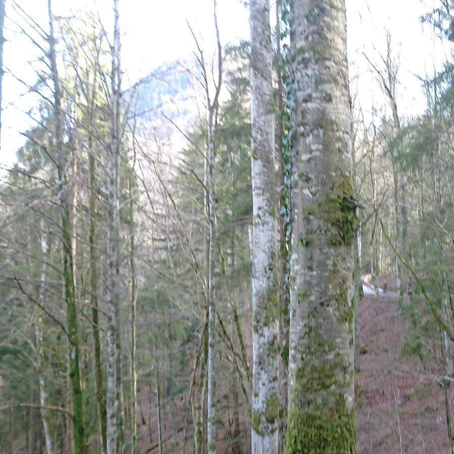 Restaurant "Alter Brunnen" in  Marloffstein