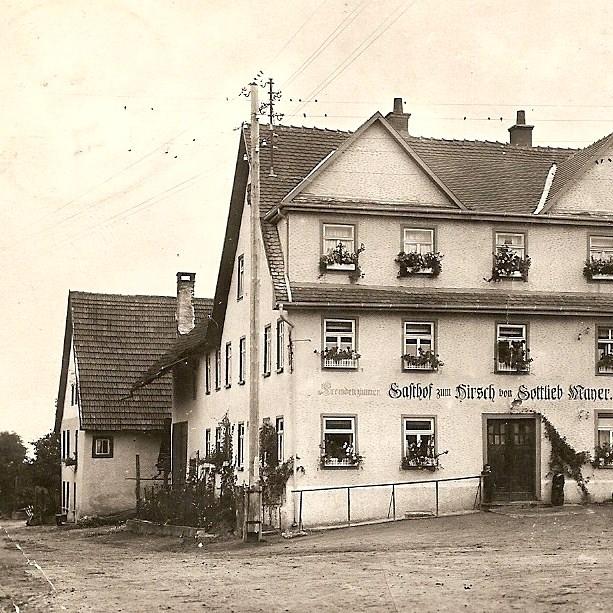 Restaurant "Hirsch im Grünen" in  Mehrstetten
