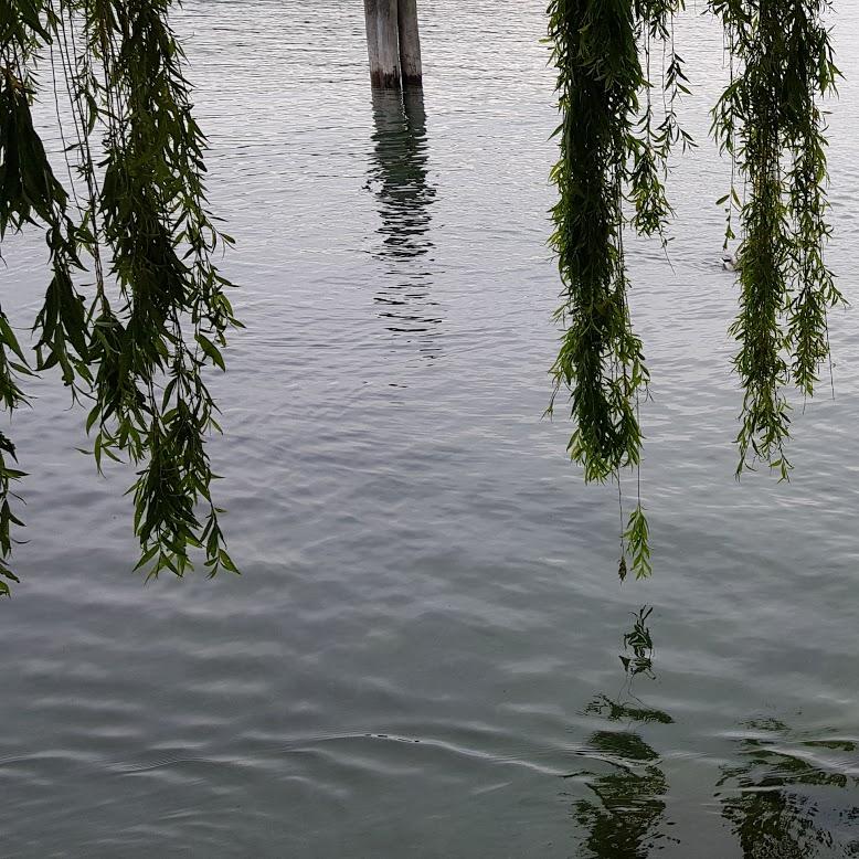 Restaurant "ATP Gaststätten GmbH" in  Sipplingen