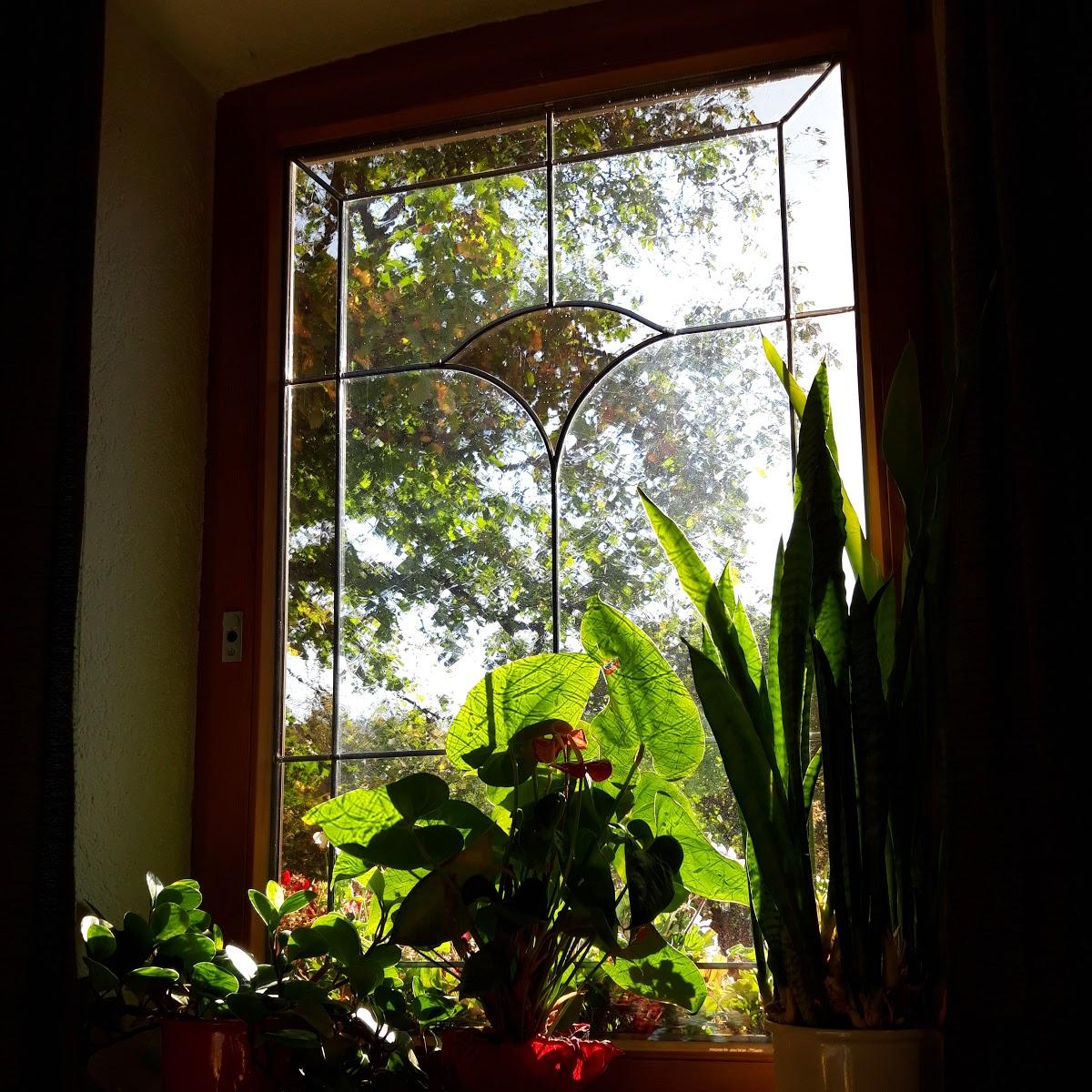 Restaurant "Gasthaus Rössle, Hausen" in  Schelklingen