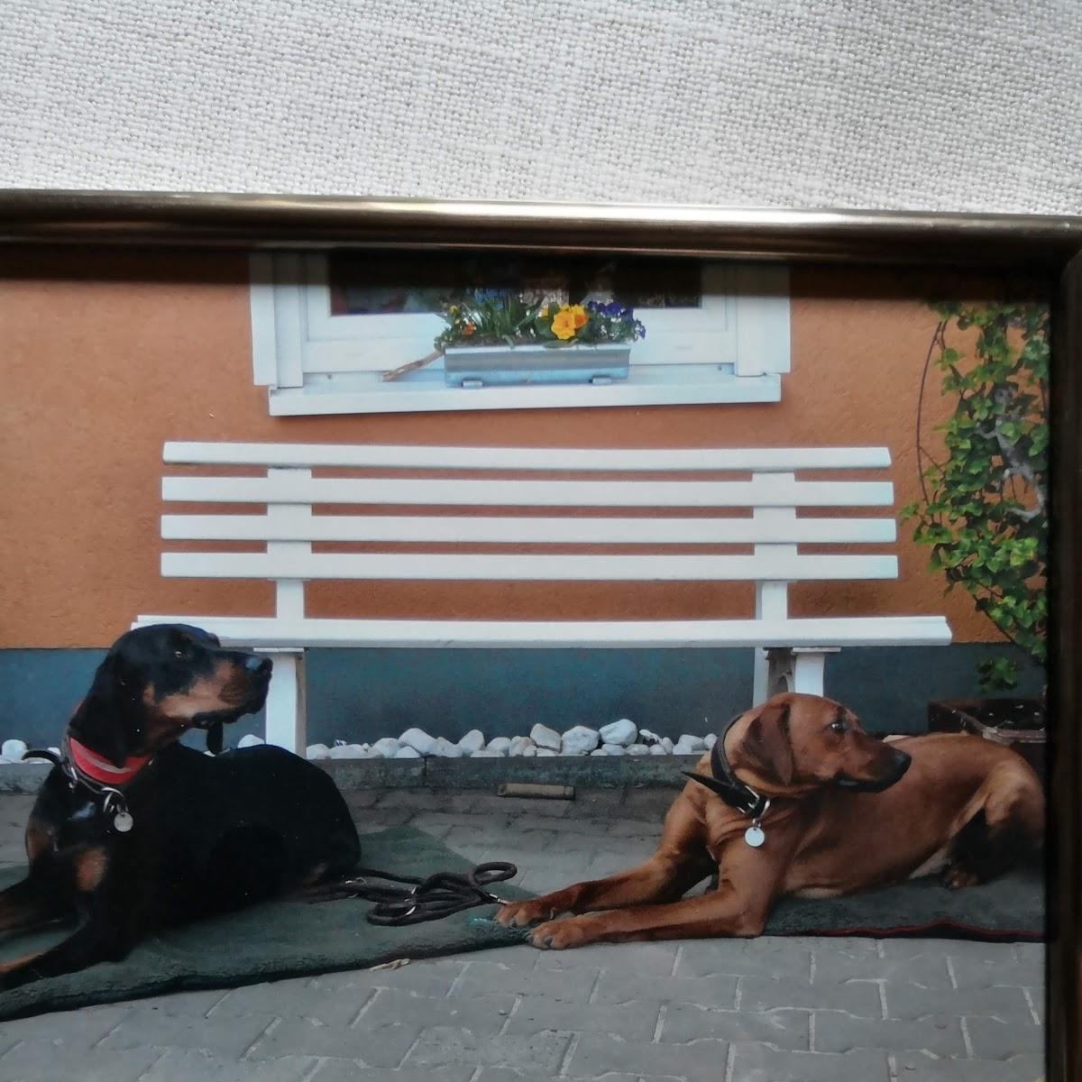 Restaurant "Gasthaus Heidekrug" in Dedelstorf