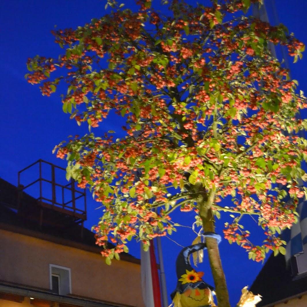 Restaurant "Landgasthof Hock Gästezimmer und Gaststätte-Hotel" in  Großostheim