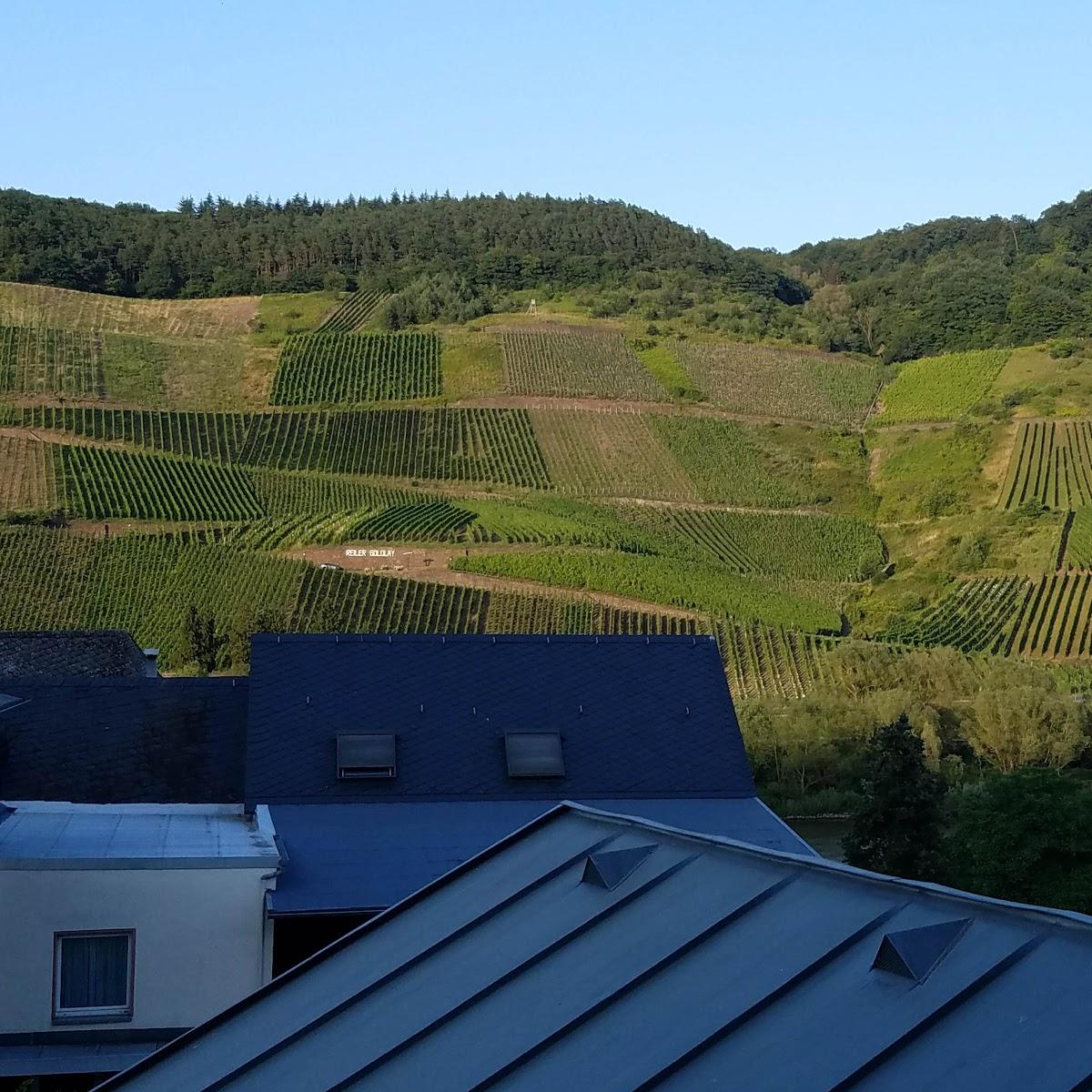 Restaurant "Weinhaus Burg-Schneider" in  Reil