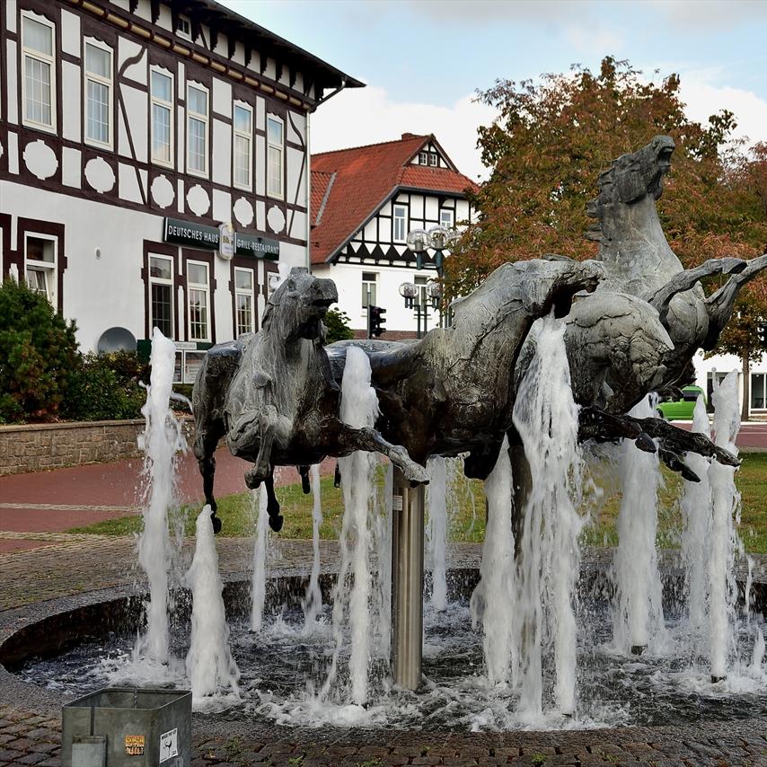 Restaurant "Deutsches Haus Hotel- und Gaststätten-Betriebs GmbH" in  Munster