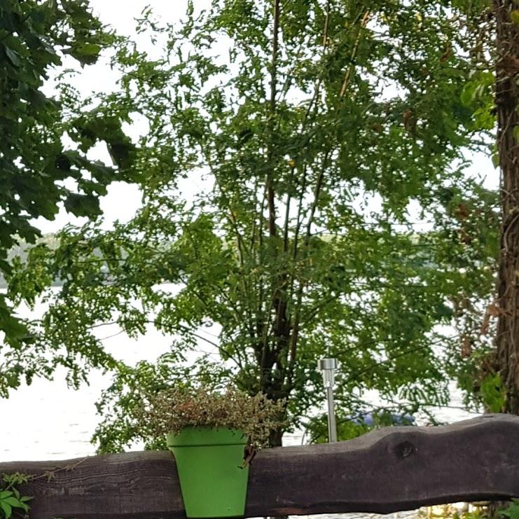 Restaurant "Anglerklause" in  Köris