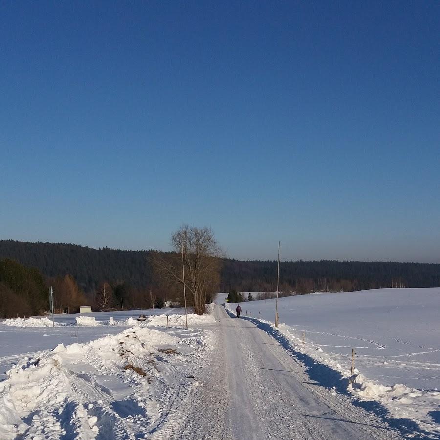 Restaurant "Vereinshaus Grüner Baum" in  Gräfenthal
