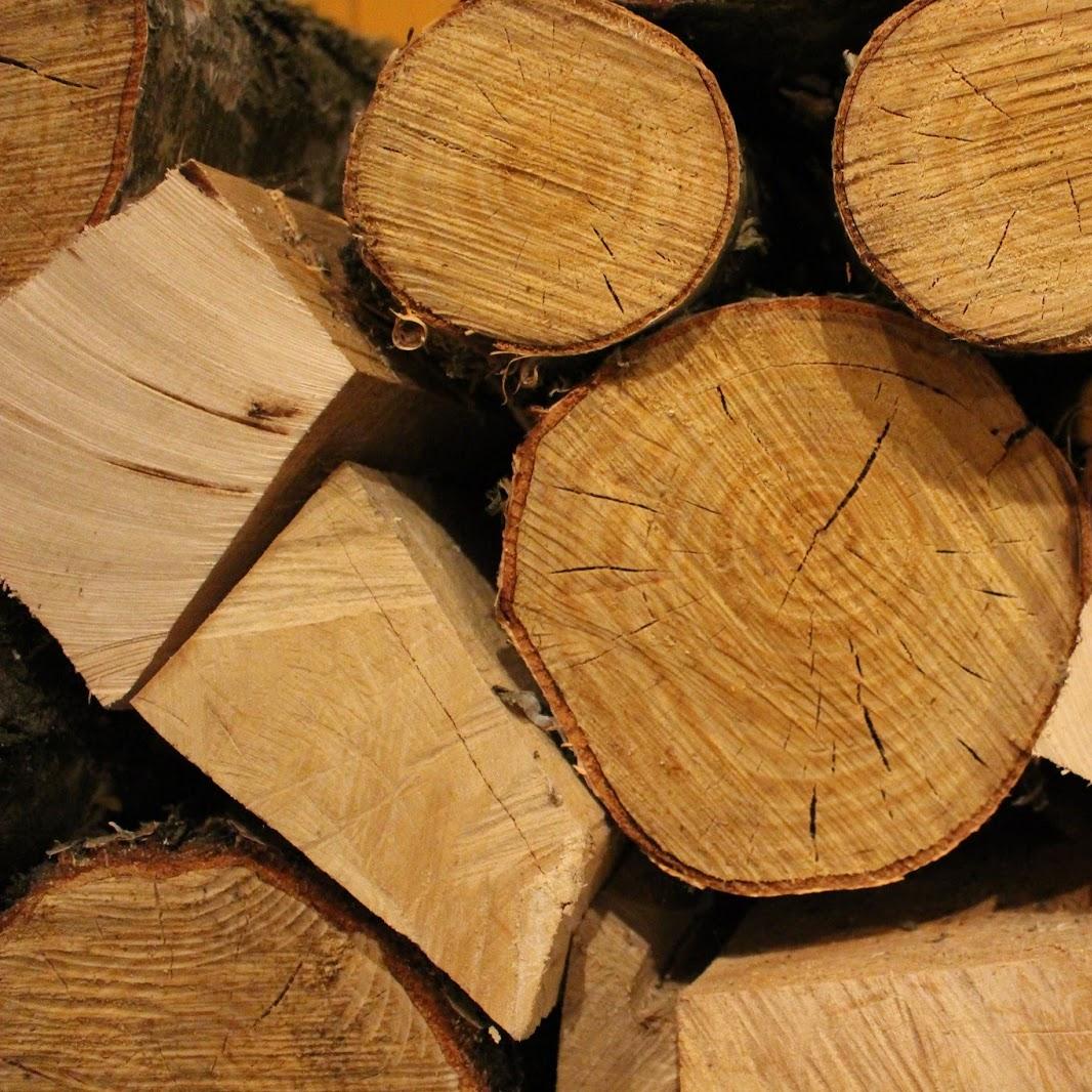 Restaurant "Naturparkinformationscenter Spechtsbrunn" in  Rennsteig