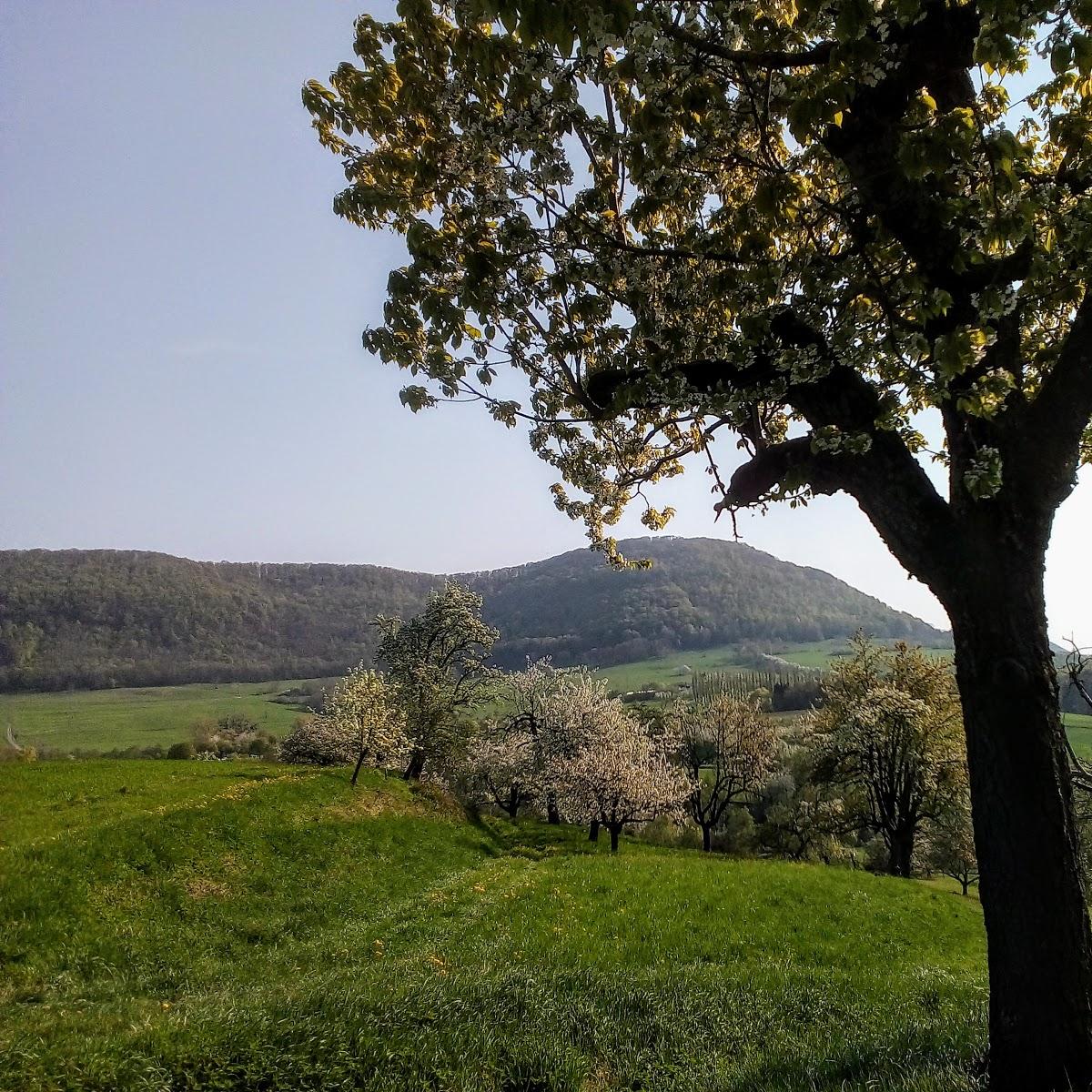 Restaurant "SSF Griechische Gaststätte I" in  Neuffen